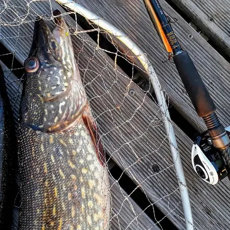 Kalurikula Fishing Village *