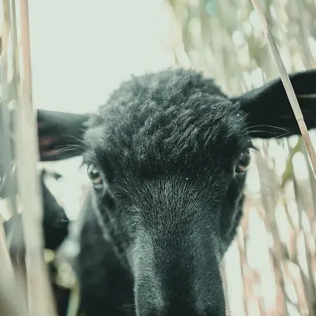 Kalurikula Fishing Village *